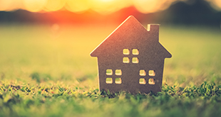 [Translate to English:] Grüne Umbaumaßnahmen bei Reidinger.de